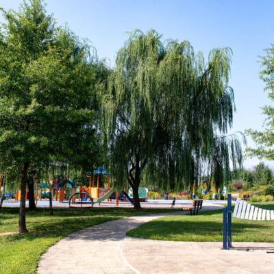 Countryside Park Countryside Park musical playground with large shade trees