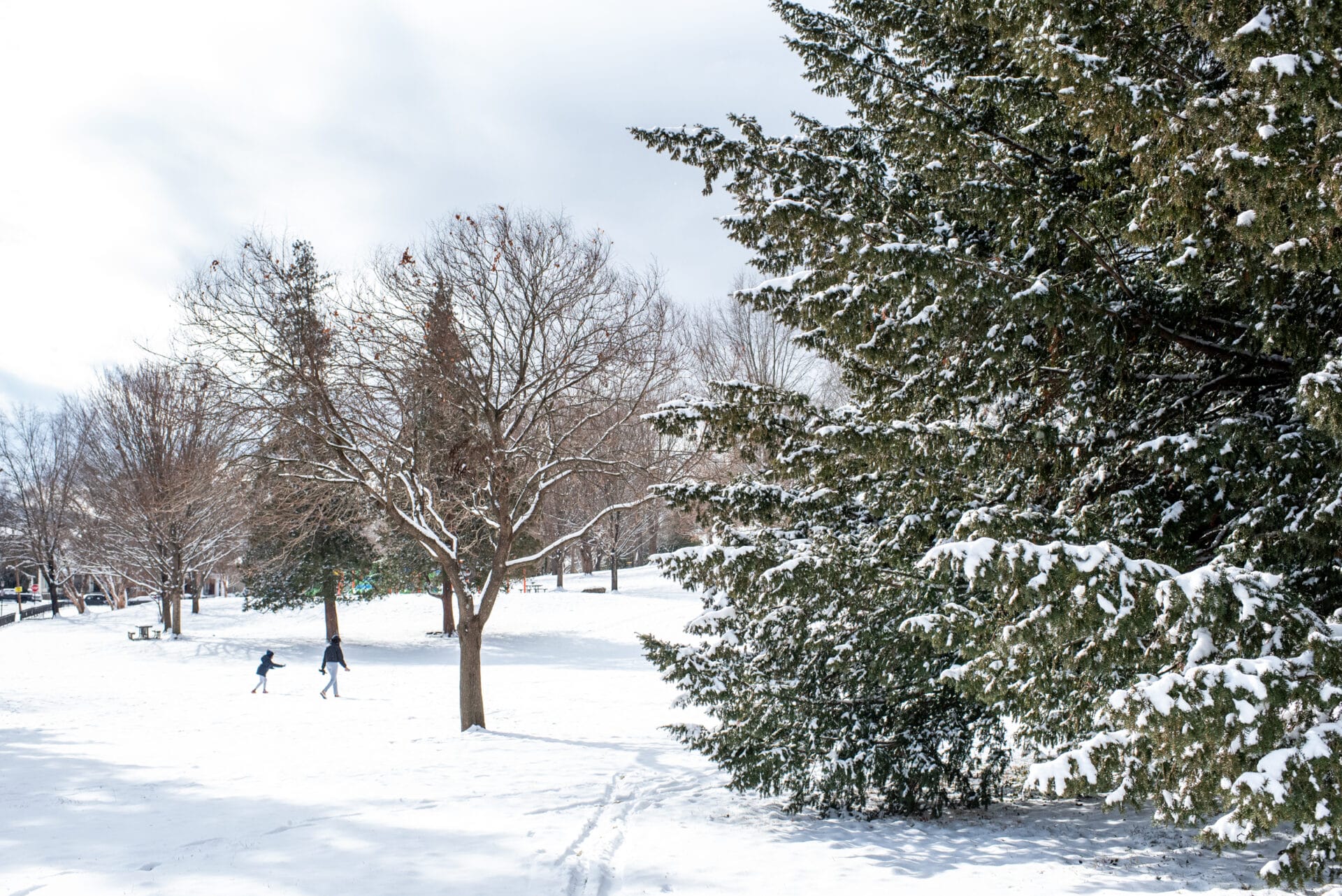 HighlandParkSnow web 302