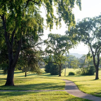 McCadden Park Scenic park path lined with large shade trees and distant mountain views