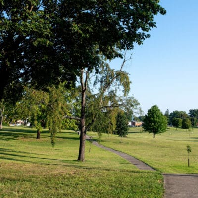 McCadden Park Scenic park path lined with large shade trees