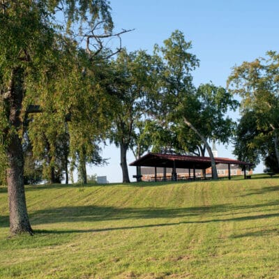 McCadden Park Open field with park shelter and shade trees in the distance