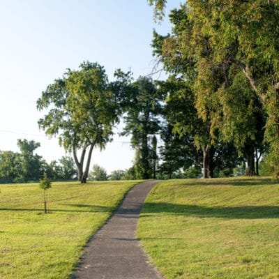 McCadden Park Scenic park path lined with large shade trees