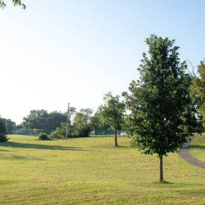 McCadden Park Scenic park path lined with large shade trees