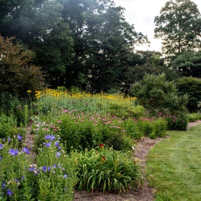 Gardens at the southside of Mountain View Park garden with multiple plants in bloom and grassy lawn