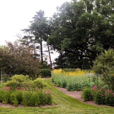 Gardens at the southside of Mountain View Park garden with multiple plants in bloom and grassy lawn