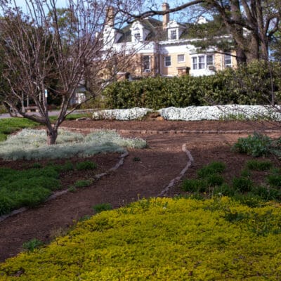 Gardens at the Mountain View Park, looking north towards the mansion Garden pathway in the winter