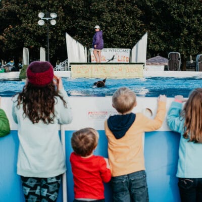 ParentsGuideGOFest 11