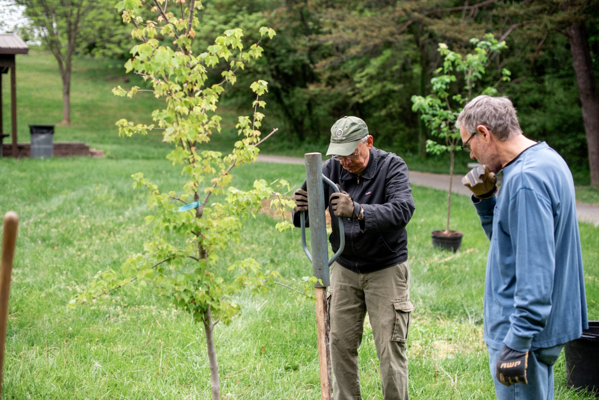 ArborDayRidgewoodPark web 830