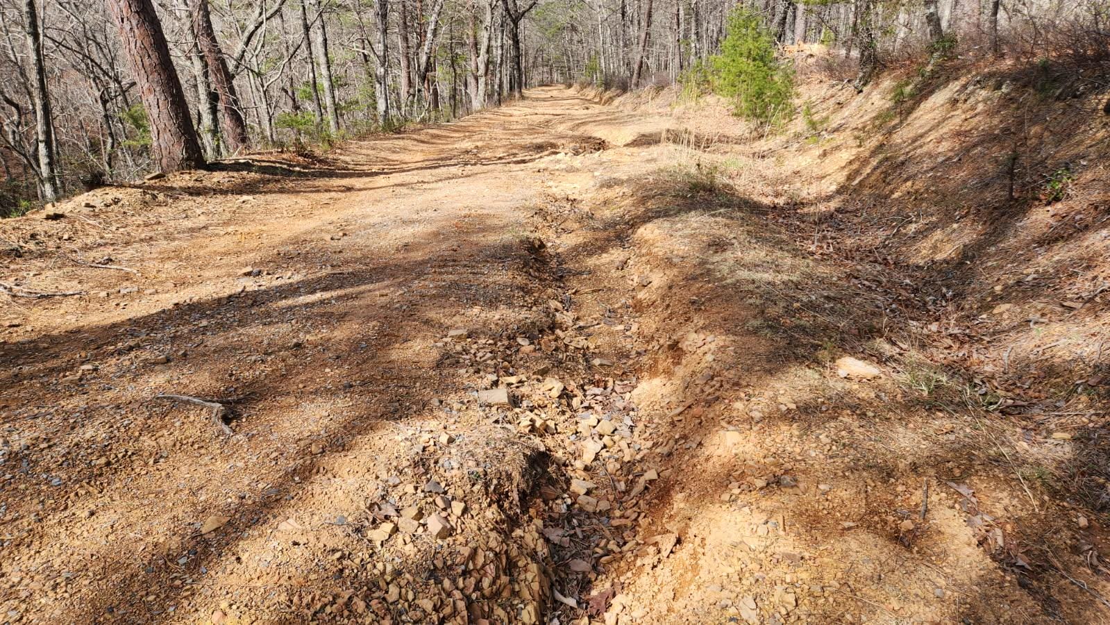 Damage along Fire Road trail.