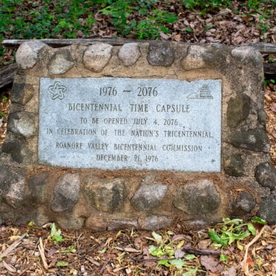 MillMtnWildflowerGarden 411