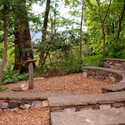 MillMtnWildflowerGarden 424