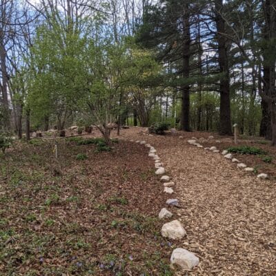 PXL 20210401 190222834