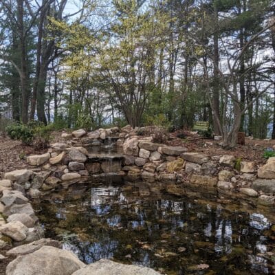 PXL 20210401 190307390