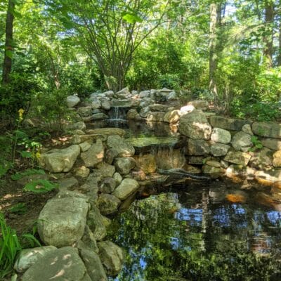 PXL 20210618 143657497.MP