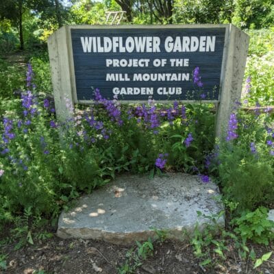 PXL 20210618 145712645