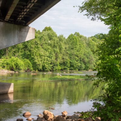 Scenic view of a river at an underpass with rocky shoreline, aquatic vegetation, and blue heron.
