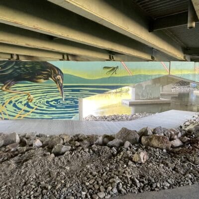 Decorative mural of water bird on a roadway underpass beside a river and river access ramp.