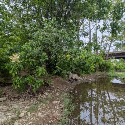 Small shoreline access point to a river, with a bridge visible in the distance.