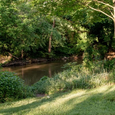 A path to the river along the shoreline of a park.