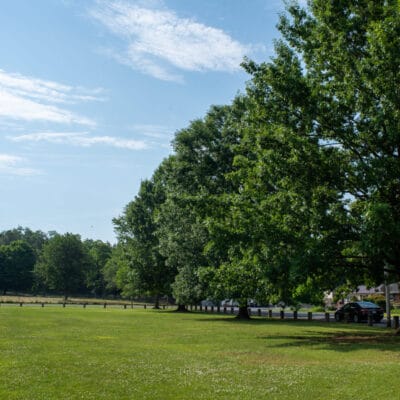GoldenPark 269