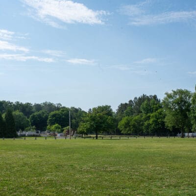 GoldenPark 271