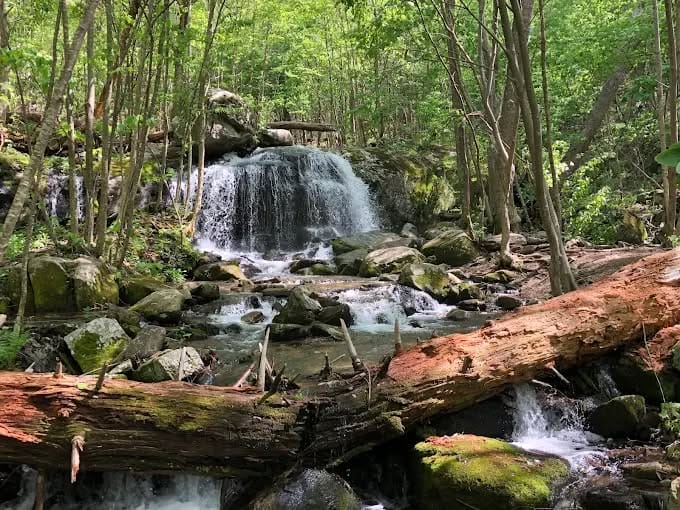 Summer Waterfall Hikes: Apple Orchard Falls