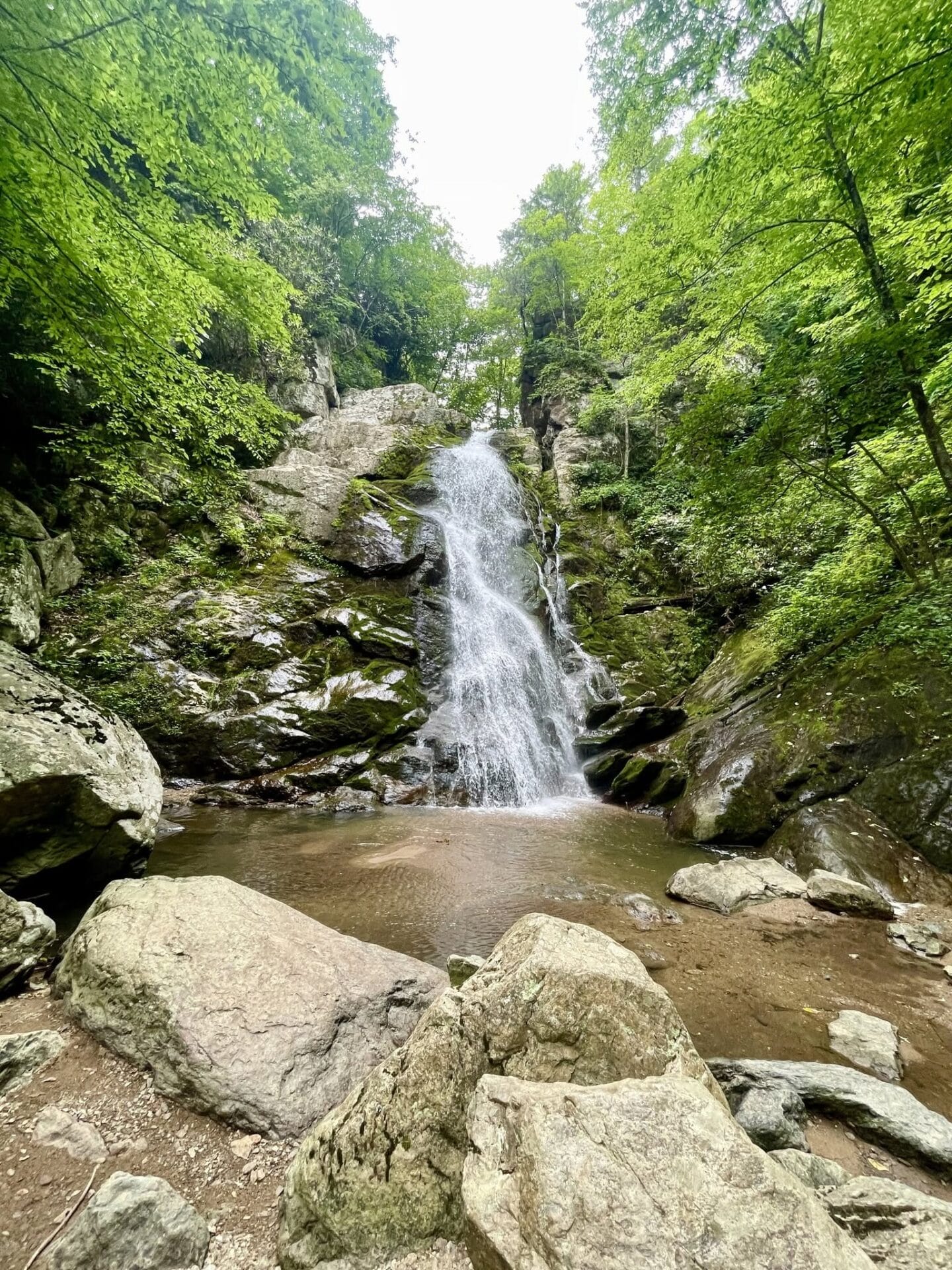Summer Waterfall Hikes: Stiles Falls