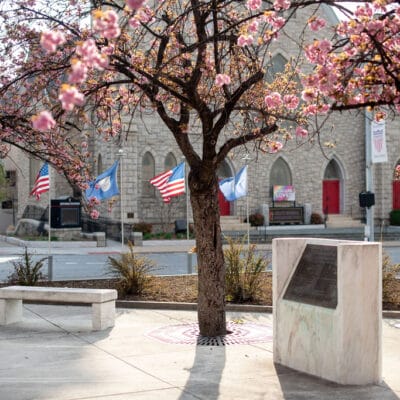 FreedomPlazaSpring 328web FreedomPlazaSpring 328web