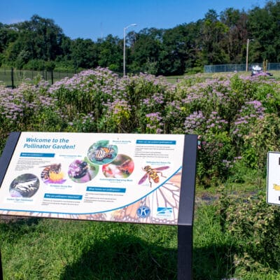 KiwanisGarden 221 KiwanisGarden 221