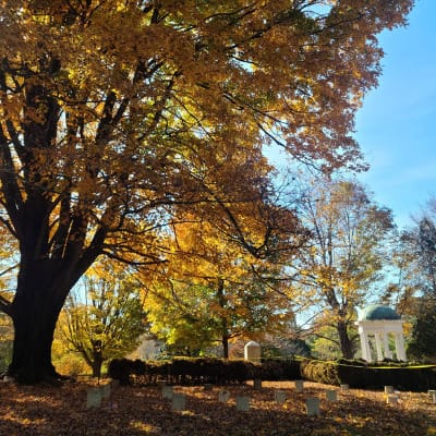 OLD CITY CEMETERY